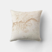 テベスのポスター遺跡の地形図 クッション (裏面)