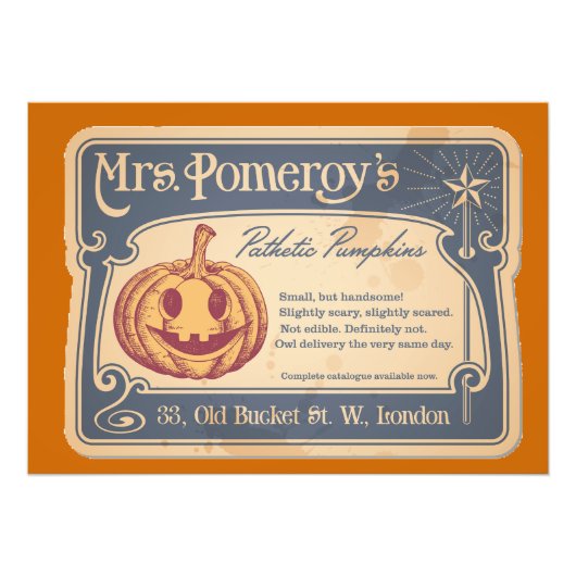 テマリーカボチャの写真プリント フォトプリント            (正面)