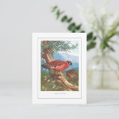 『テミンクの悲劇』 ポストカード (スタンド正面)