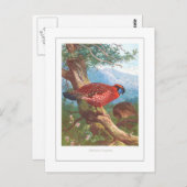 『テミンクの悲劇』 ポストカード (正面/裏面)