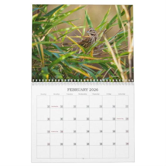 テモテハリス著家の近くの自然の写真撮影 カレンダー (2月 2026)