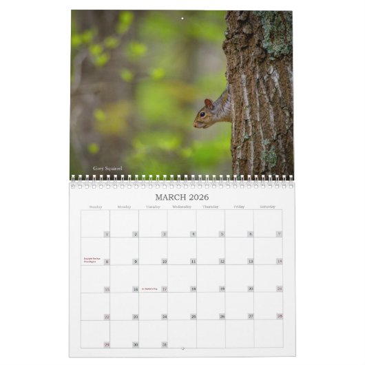 テモテハリス著家の近くの自然の写真撮影 カレンダー (3月 2026)