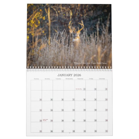 テモテハリス著家の近くの自然の写真撮影 カレンダー (1月 2026)