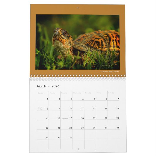 テモテハリス著自然そして野性生物のカレンダー カレンダー (3月 2026)