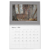 テモテハリス著自然そして野性生物のカレンダー カレンダー (2月 2026)