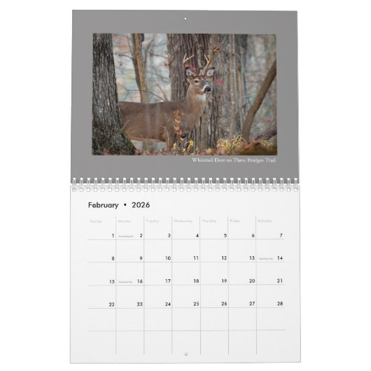 テモテハリス著自然そして野性生物のカレンダー カレンダー (2月 2026)