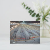 テラコッタウォリアーズはがき ポストカード (スタンド正面)