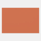 テラコッタオレンジスパイス無地のカラー |クラシック ラッピングペーパーシート (正面)