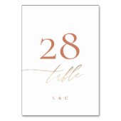 テラコッタダスティオレンジボエレガントホ金ゴールド結婚ズ テーブルナンバー (正面)