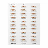 テラコッタパンパスグラス焼きオレンジ色の銅 ラベル (フルシート)