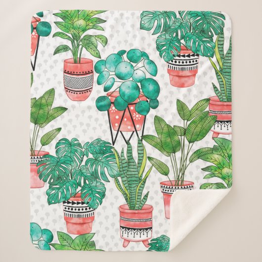 テラコッタポットズウォーターカラーハウスプラントシームレス  シェルパブランケット (正面)