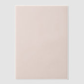 テラコッタレッド無地のカラー結婚ズライナー ベラム紙招待状 (正面)