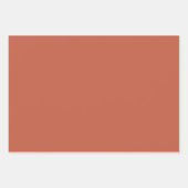 テラコッタ無地のカラーラッピング紙シート ラッピングペーパーシート (正面2)