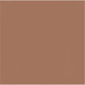 テラコッタ焦げオレンジ無地の色 シール (正面)