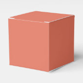 テラコッタ フェイバーボックス (正面サイド)