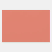 テラコッ無地のタ色 ラッピングペーパーシート (正面2)