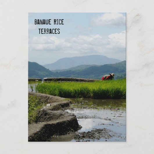 テラスの作業 ポストカード (正面)