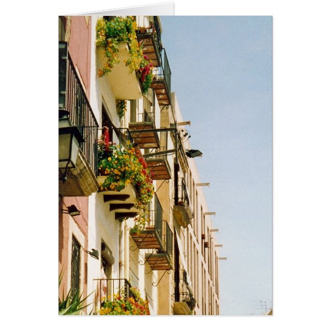 テラススペインのス (正面)