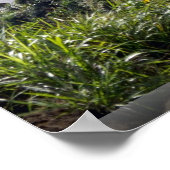 テラス彫刻，フィリピン ポスター (角)