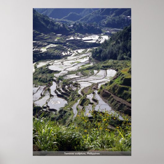 テラス彫刻，フィリピン ポスター (正面)