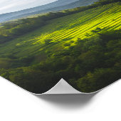 テラス輝くのフィールドに太陽 ポスター (角)