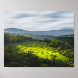 テラス輝くのフィールドに太陽 ポスター