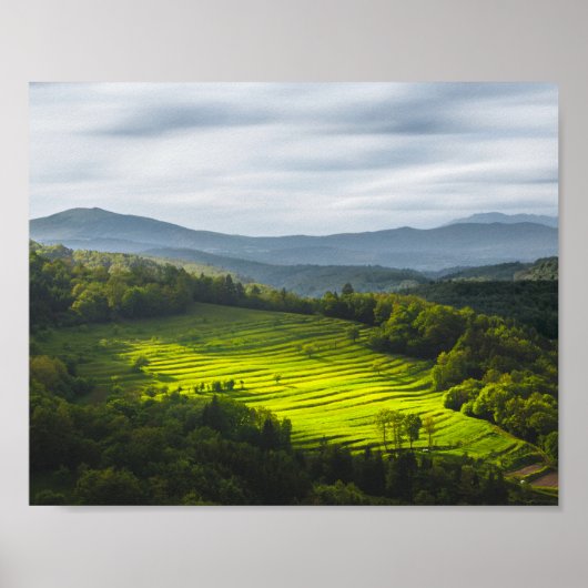 テラス輝くのフィールドに太陽 ポスター (正面)