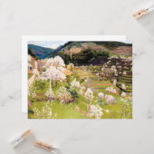 テラス・ガーデン・イン・マヨルカ カード (正面/裏面インサイチュ)