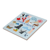 テラノバニューファンドランド タイル (側面)