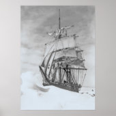 テラノヴァ ポスター (正面)