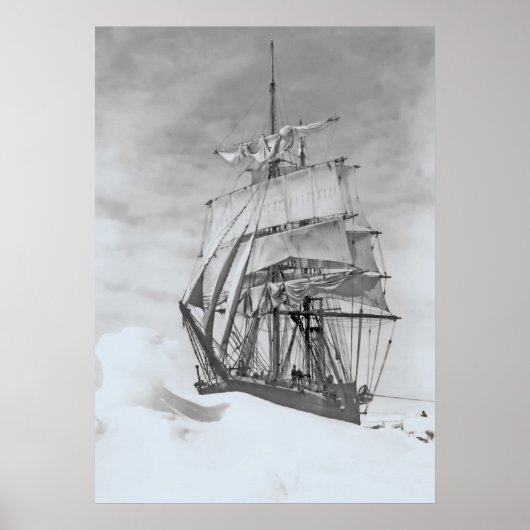 テラノヴァ ポスター (正面)