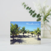 テラパーム ポストカード (スタンド正面)