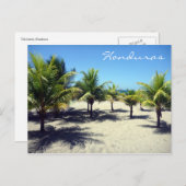 テラパーム ポストカード (正面/裏面)