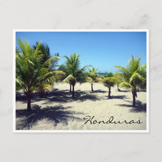 テラビーチヤシ ポストカード (正面)