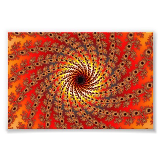 テラピンスピンフラクタルアート フォトプリント            (正面)