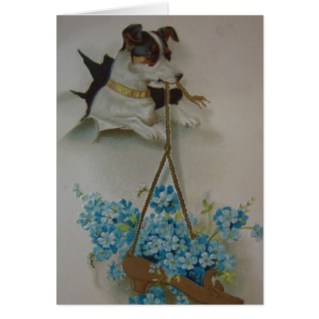 テリアと靴 (正面)