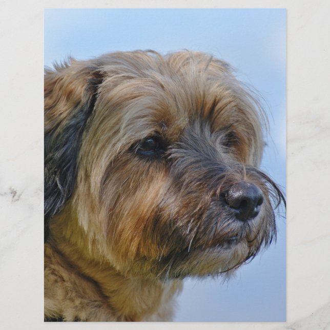 テリアデザイン (正面)