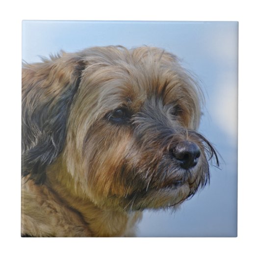 テリアデザイン タイル (正面)