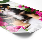 テリアパピーサテン写真拡大 フォトプリント            (角)