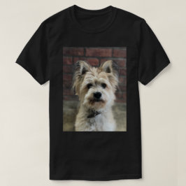 テリア犬の写真パーソナライズ綿 Tシャツ