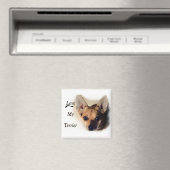 テリア磁石が好き マグネット (インサイチュ (食洗機))