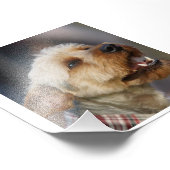 テリア縁どクロス フォトプリント            (角)