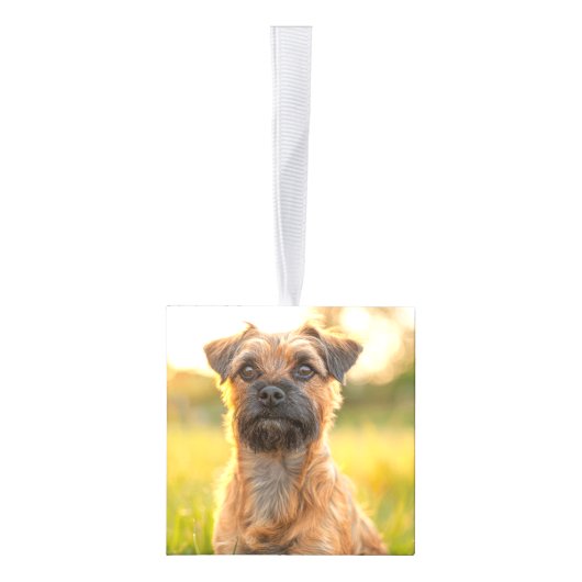 テリア縁どドッグ2枚の写真クリスマスホリデー キューブオーナメント (右)