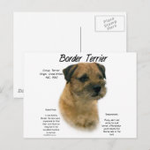 テリア縁どーの履歴デザイン ポストカード (正面/裏面)