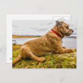 テリア縁どー油効果絵を描印刷はがき ポストカード (正面/裏面)