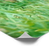 テリア縁どー ポスター (角)