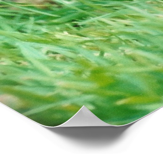 テリア縁どー ポスター (角)