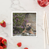 テリア縁ど紙ナプキンス スタンダードカクテルナプキン (インサイチュ)