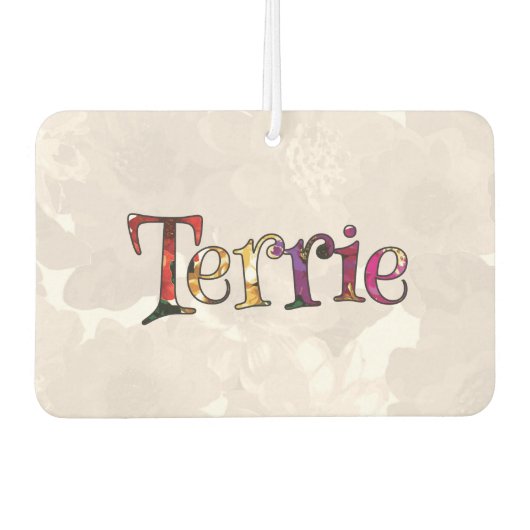 テリーカラフルおもしろいフローラ空気清浄機 カーエアーフレッシュナー (正面)