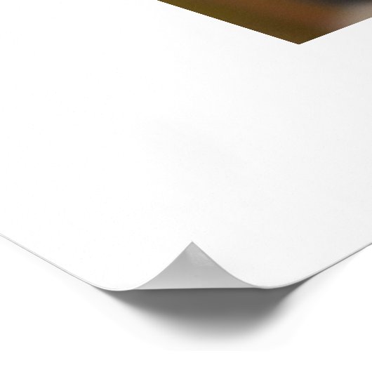 テリ ポスター (角)